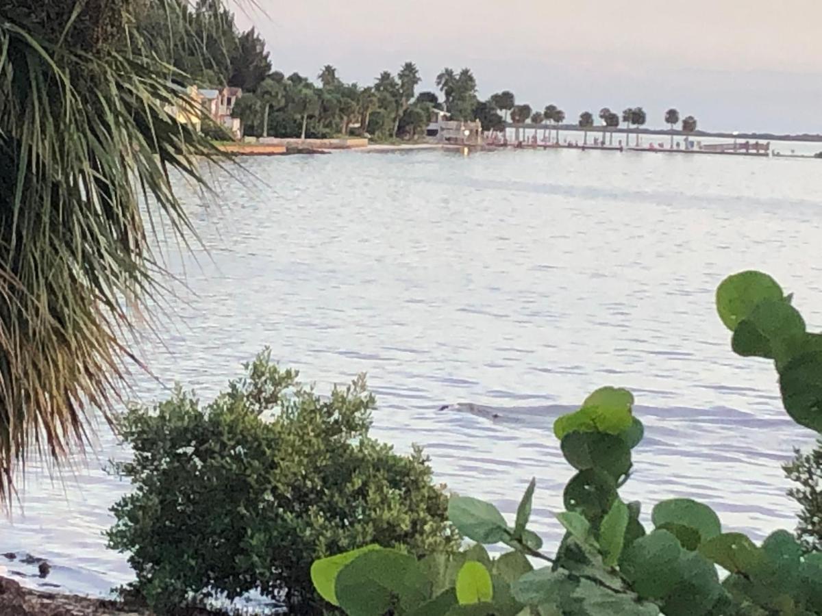 Beachfront House Pine Island, Tampa, Orlando Villa Weeki Wachee Buitenkant foto